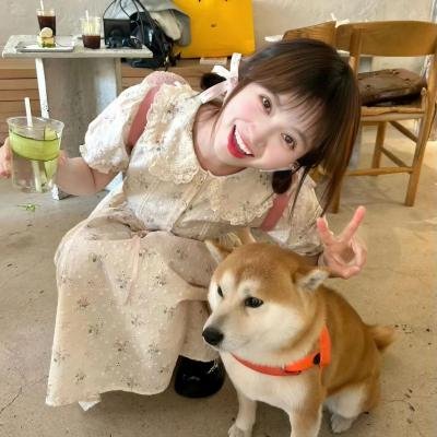 如果历史是一群喵第一季海报